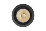 Mounted Downlight