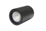 Mounted Downlight LD