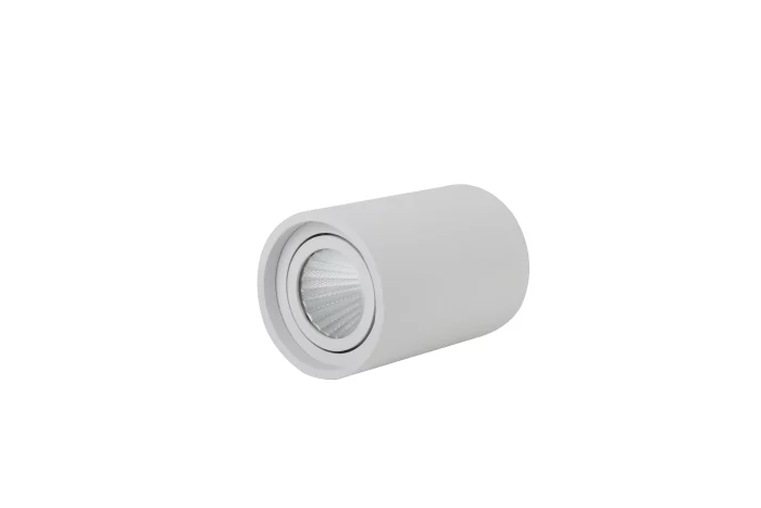 LED Surface Mounted Downlight LD 11 443 1