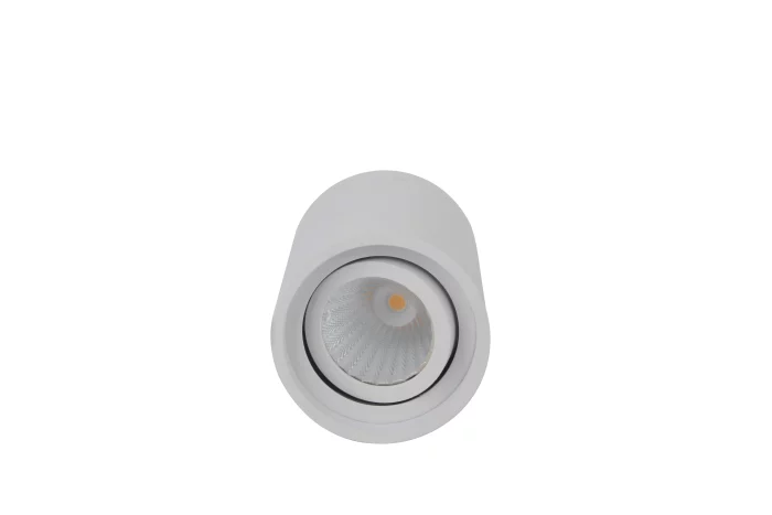 LED Surface Mounted Downlight LD 11 443 2