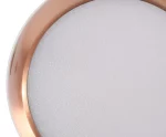 LED Pendant Light LD 12 206 3