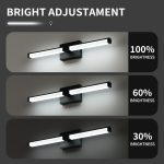 LED Vanity Light Dimmable