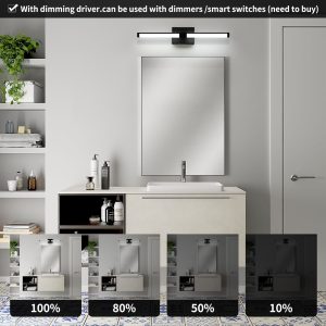 LED Vanity Light Dimmable