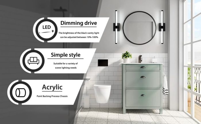 LED Vanity Light Dimmable